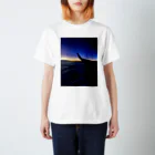 ryuonji87の飛行機からのsunset スタンダードTシャツ