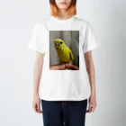 そらゆめインコのルチノーインコ Regular Fit T-Shirt