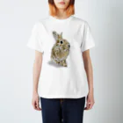 Gallery Neperoのきりっ（ぽんちゃん） Regular Fit T-Shirt