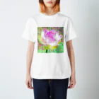 水草の蓮の花 スタンダードTシャツ