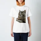 グレージュ猫ロッタン🐈‍⬛の緊張ロッタン Regular Fit T-Shirt