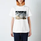 pict_tmfmの光 Regular Fit T-Shirt