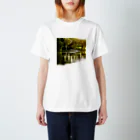 C_G_Yungの水辺の光景 Regular Fit T-Shirt