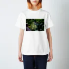 RyoY_ArtWorks_Galleryの傾斜に咲き誇る花 スタンダードTシャツ