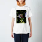 ふよだすの花を吸うミツバチ Regular Fit T-Shirt