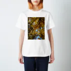 福猫山小屋の美しい木々 Regular Fit T-Shirt