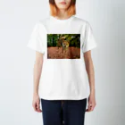 panchanphotoanimalsのこまりのスタンダードTシャツ Regular Fit T-Shirt