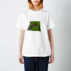 komorebi-9の草原の猫 Regular Fit T-Shirt