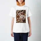 koikoi shop@suzuri店のおもいでのなかの桜 Regular Fit T-Shirt