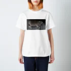 peachieのシャルトリューのGrico Regular Fit T-Shirt