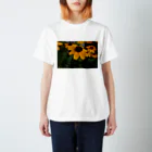 ドローイングGalleryの花　ルドベキア スタンダードTシャツ