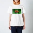 かめキチのさくらちゃん Regular Fit T-Shirt