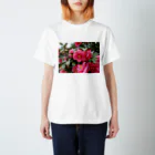 fun timeのPink camelia blooming カメリア スタンダードTシャツ