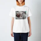 rikkyo_lgbtnizaのねこ Regular Fit T-Shirt