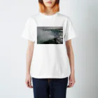海外大好き♡のナイアガラの滝 スタンダードTシャツ