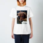 アマリリスあっこのビビり犬  ふ〜ちゃん Regular Fit T-Shirt