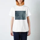 あーきぺらごarchipelagoの温泉析出物 Regular Fit T-Shirt