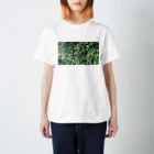 lingerの丸葉っぱ Regular Fit T-Shirt