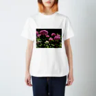 hikagemonoの赤い紫陽花 スタンダードTシャツ