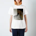 Vzey10のバイトの帰りにいた猫Tシャツ Regular Fit T-Shirt