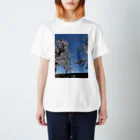 kamejinのスカイツリーと隅田川の桜 スタンダードTシャツ