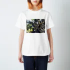 koenのkoen Regular Fit T-Shirt