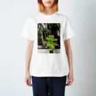 YB_0909の眺望 Regular Fit T-Shirt