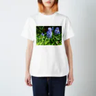 Dreamscape(LUNA)の楚々とした佇まい Regular Fit T-Shirt