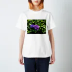 なほ◎6ーピーの紫陽花 スタンダードTシャツ