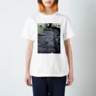 PARALIRAのAcid Mountain High Regular Fit T-Shirt