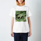 Fantastic FrogのFantastic Frog -Paper Money Version- Regular Fit T-Shirt