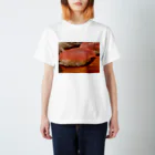 ひずわぷのSushi スタンダードTシャツ