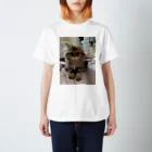 くまくまのうちねこ Regular Fit T-Shirt