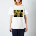 Dreamscape(LUNA)のみんな一緒ね!! Regular Fit T-Shirt