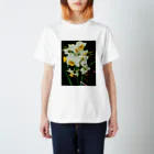 hiroki-naraの水仙　スイセン　DATA_P_100　春　spring スタンダードTシャツ