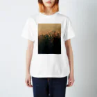 amayawinのfrom the window 04 スタンダードTシャツ