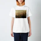 amayawinのfrom the window 20 スタンダードTシャツ