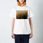 amayawinのfrom the window 26 Regular Fit T-Shirt