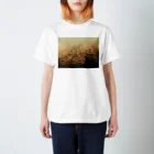 amayawinのfrom the window 32 Regular Fit T-Shirt