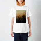 amayawinのfrom the window 33 Regular Fit T-Shirt