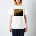 amayawinのfrom the window 39 スタンダードTシャツ