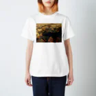 amayawinのfrom the window 40 Regular Fit T-Shirt