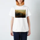 amayawinのfrom the window 43 Regular Fit T-Shirt