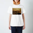 amayawinのfrom the window 44 Regular Fit T-Shirt