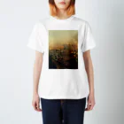 amayawinのfrom the window 47 Regular Fit T-Shirt