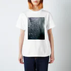 グリュックレーヴのSinking in water Regular Fit T-Shirt