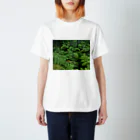 Hironori Murayama photographyのVOLCANO FOREST スタンダードTシャツ