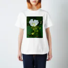 hiroki-naraの芙蓉 DATA_P_132　Confederate Rose ハスの花の古名 スタンダードTシャツ