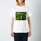 レモンタイムの庭のノカイドウの花 スタンダードTシャツ