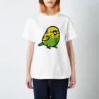 Cody the LovebirdのChubby Bird 大型セキセイインコ スタンダードTシャツ